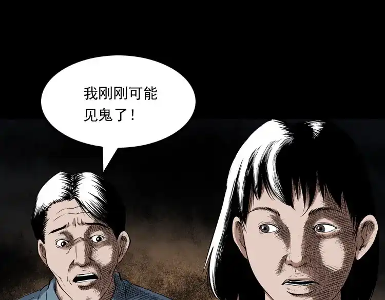 《三老爷诡事会》白头鬼之客人 第66页