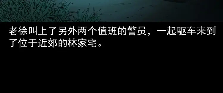 《三老爷诡事会》林家宅27号（上） 第45页