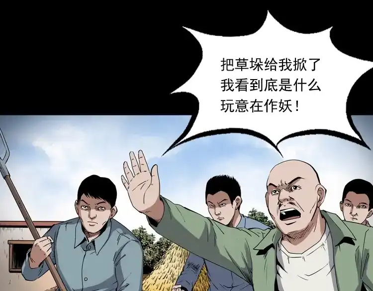 《三老爷诡事会》打谷场惊魂 第115页