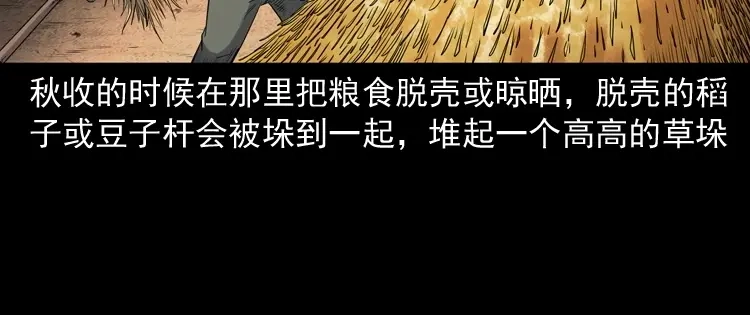 《三老爷诡事会》打谷场惊魂 第7页