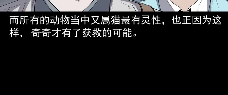 《三老爷诡事会》白头翁之猫灵 第196页