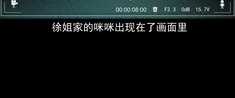 《三老爷诡事会》白头翁之猫灵 第131页