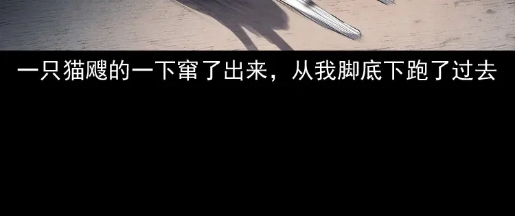 《三老爷诡事会》白头翁之猫灵 第21页