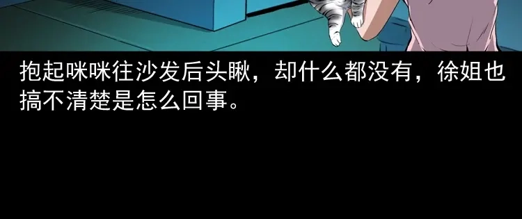 《三老爷诡事会》白头翁之猫灵 第75页