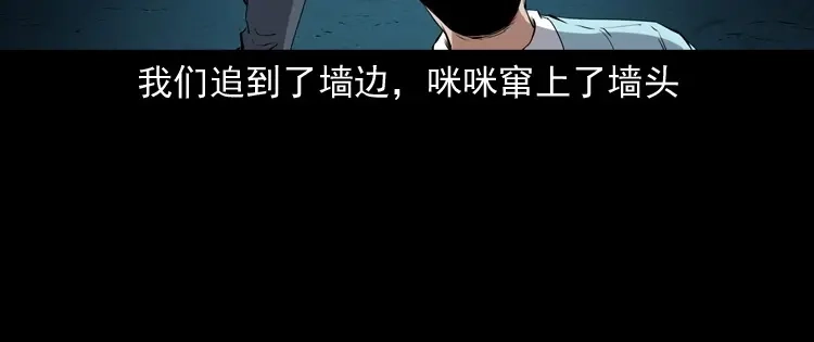 《三老爷诡事会》白头翁之猫灵 第149页