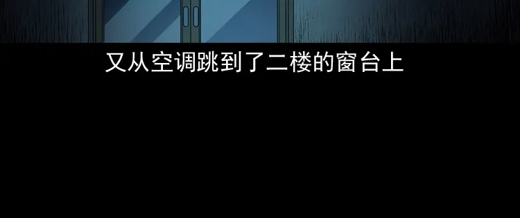 《三老爷诡事会》白头翁之猫灵 第143页