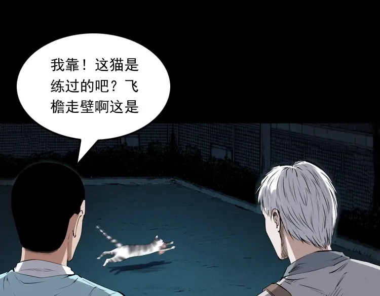 《三老爷诡事会》白头翁之猫灵 第144页
