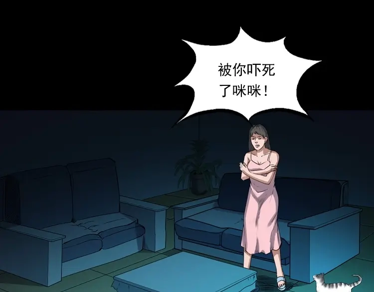 《三老爷诡事会》白头翁之猫灵 第72页