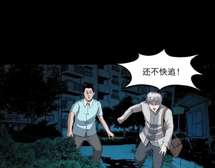 《三老爷诡事会》白头翁之猫灵 第146页