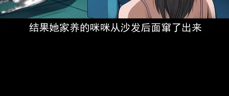《三老爷诡事会》白头翁之猫灵 第71页