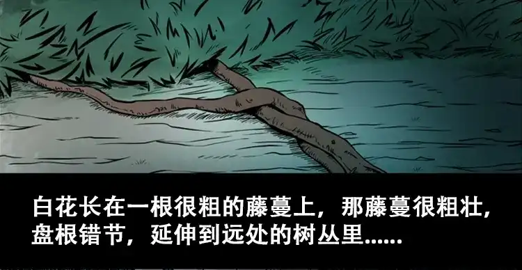 《三老爷诡事会》北瓜（上） 第24页