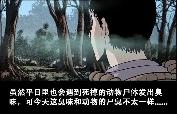 《三老爷诡事会》北瓜（上） 第13页