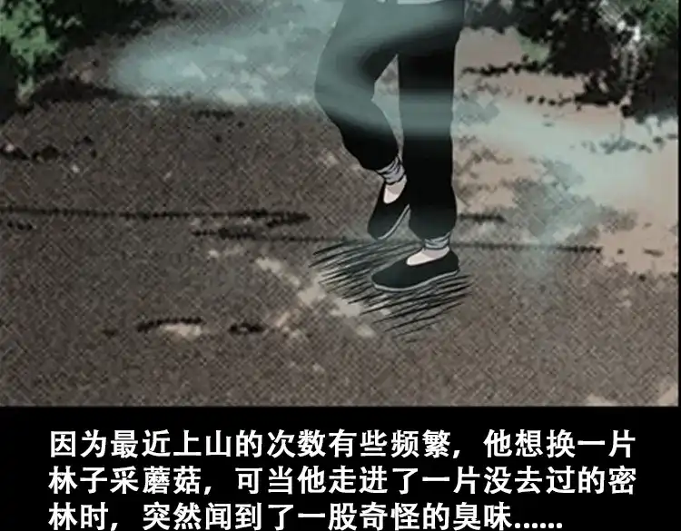 《三老爷诡事会》北瓜（上） 第11页