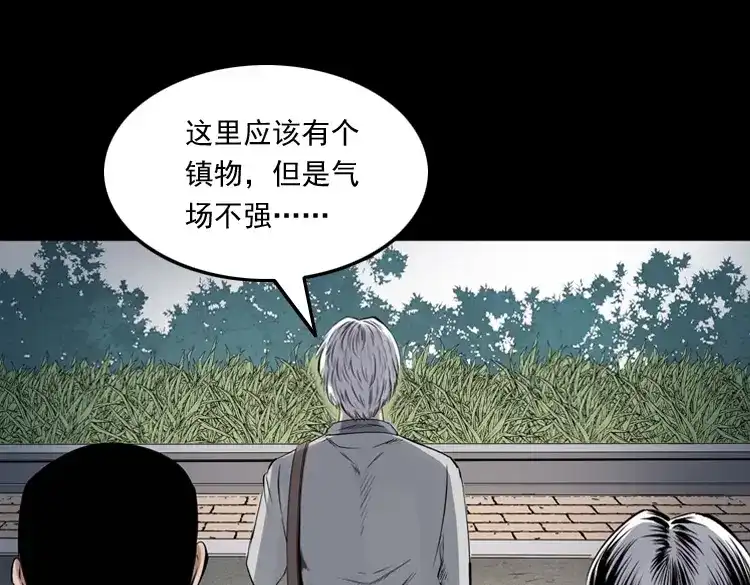《三老爷诡事会》白头翁之抢魂（上） 第90页