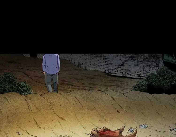 《三老爷诡事会》仙家异闻 第24页
