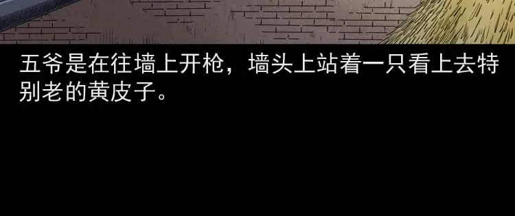 《三老爷诡事会》仙家异闻 第135页
