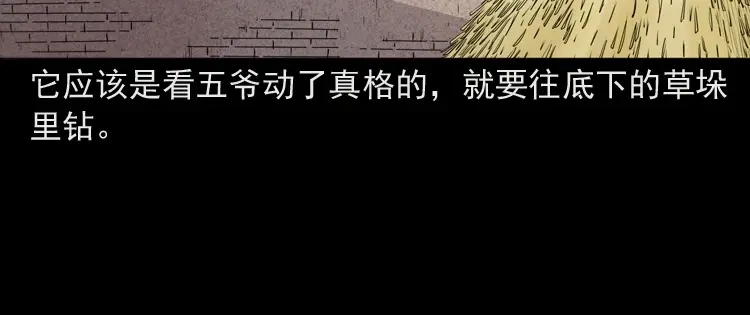 《三老爷诡事会》仙家异闻 第151页