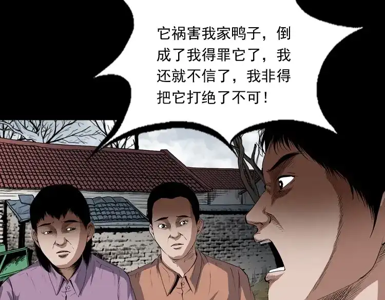 《三老爷诡事会》仙家异闻 第32页