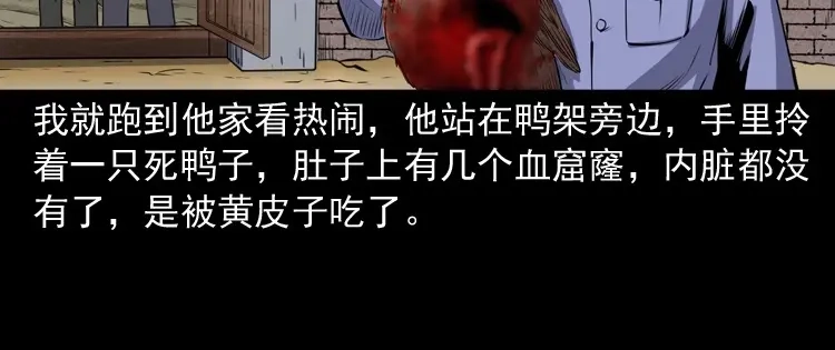 《三老爷诡事会》仙家异闻 第15页