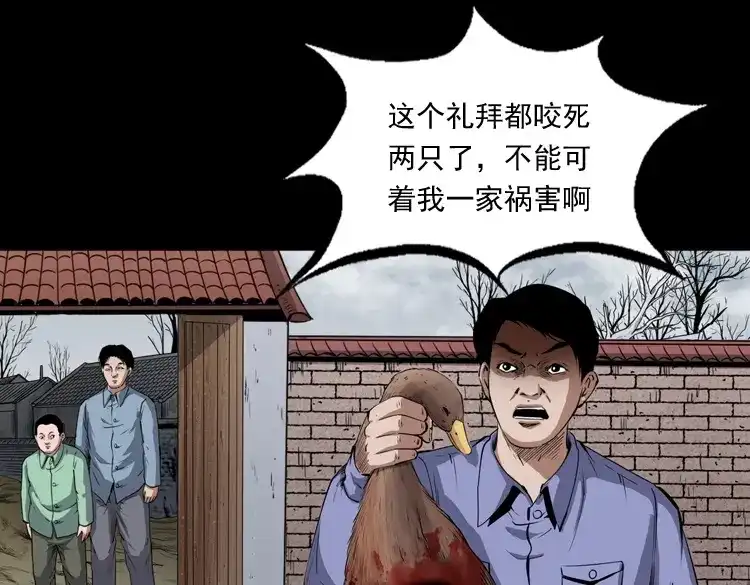 《三老爷诡事会》仙家异闻 第14页