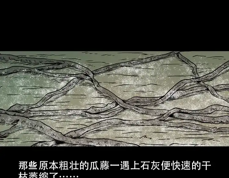 《三老爷诡事会》北瓜（下） 第206页