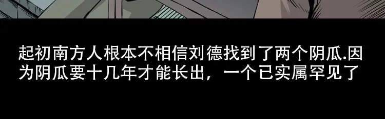 《三老爷诡事会》北瓜（下） 第82页