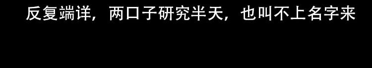 《三老爷诡事会》北瓜（下） 第49页