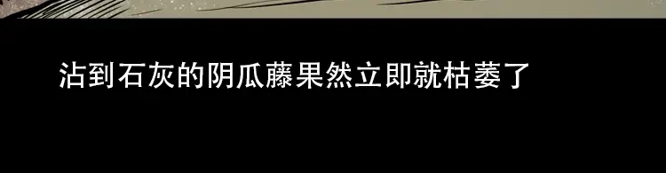 《三老爷诡事会》北瓜（下） 第202页