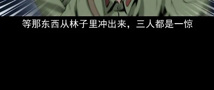 《三老爷诡事会》山神的真面目 第157页