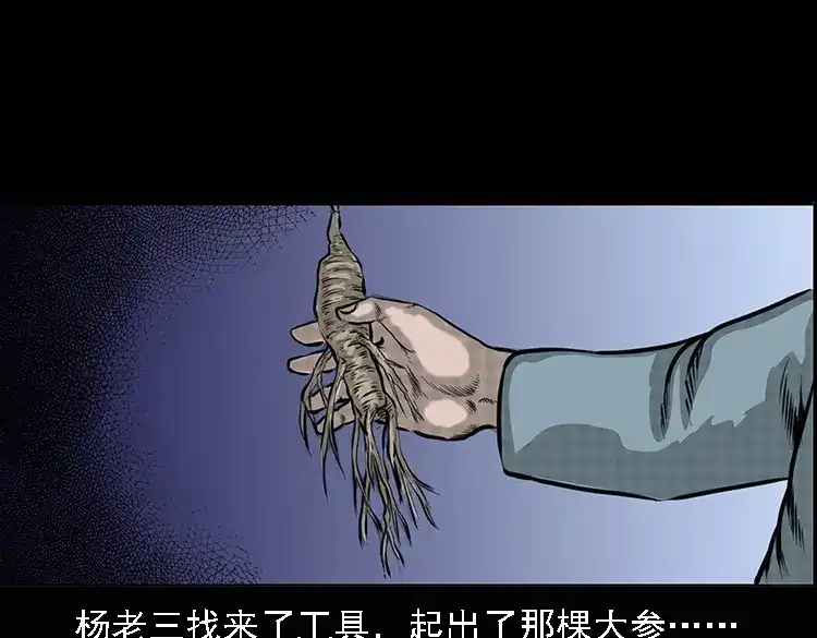 《三老爷诡事会》深山诡事 第156页