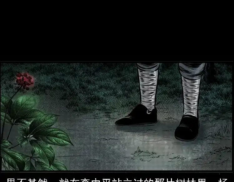 《三老爷诡事会》深山诡事 第154页