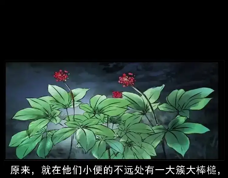 《三老爷诡事会》深山诡事 第128页