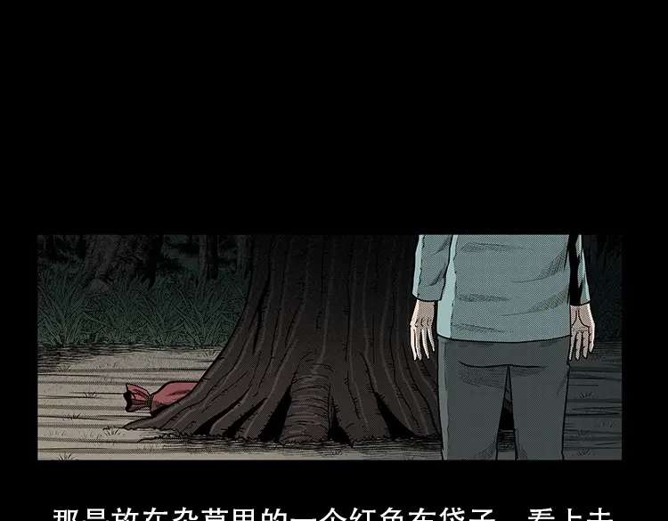 《三老爷诡事会》红布袋 第28页