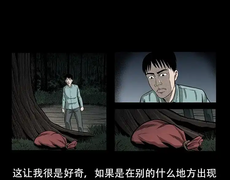 《三老爷诡事会》红布袋 第30页