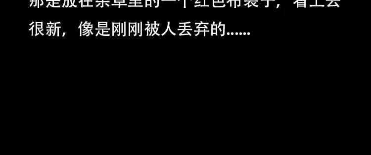 《三老爷诡事会》红布袋 第29页