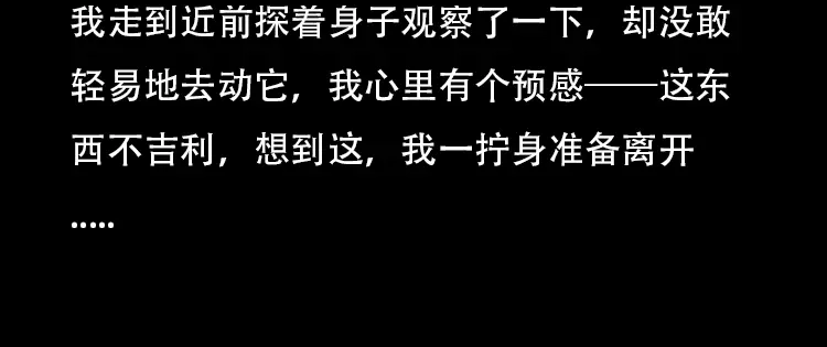 《三老爷诡事会》红布袋 第33页