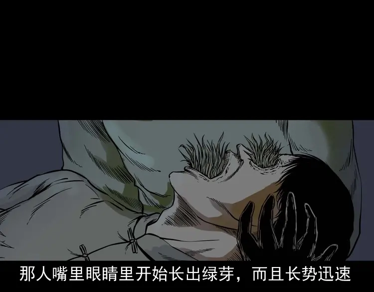 《三老爷诡事会》稻草人 第91页
