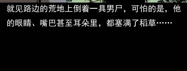 《三老爷诡事会》稻草人 第22页