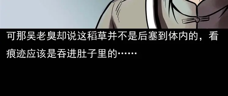 《三老爷诡事会》稻草人 第57页
