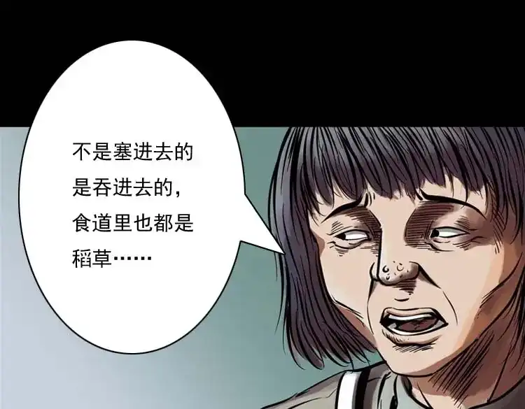 《三老爷诡事会》稻草人 第56页