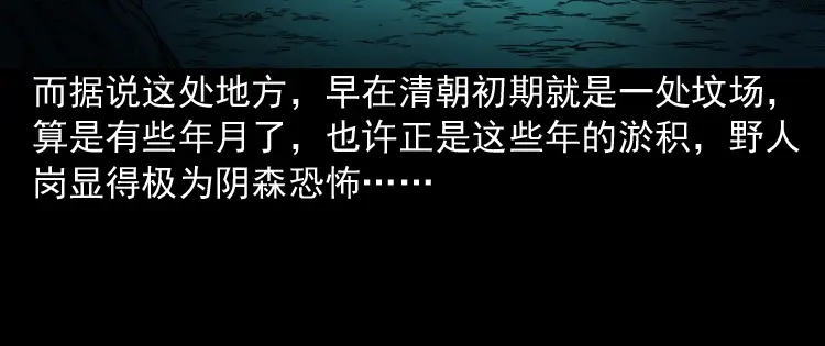 《三老爷诡事会》陆酒仙的来历（上） 第93页