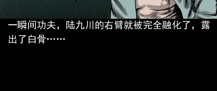 《三老爷诡事会》陆酒仙的来历（下） 第79页