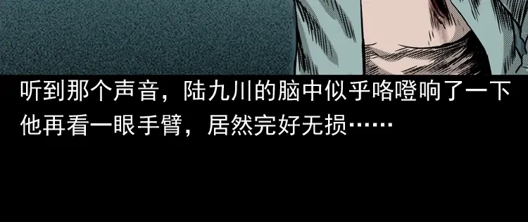 《三老爷诡事会》陆酒仙的来历（下） 第83页