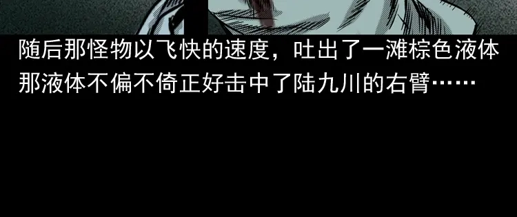 《三老爷诡事会》陆酒仙的来历（下） 第77页