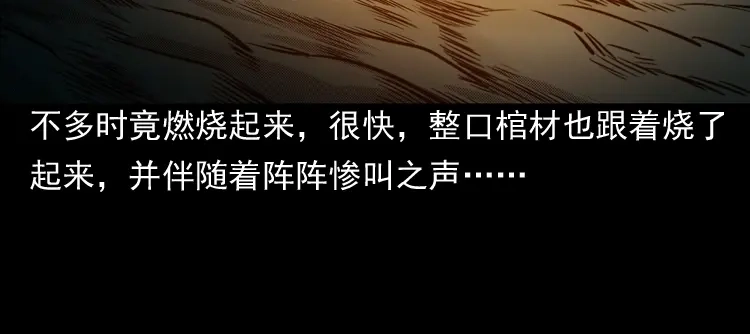 《三老爷诡事会》陆酒仙的来历（下） 第105页