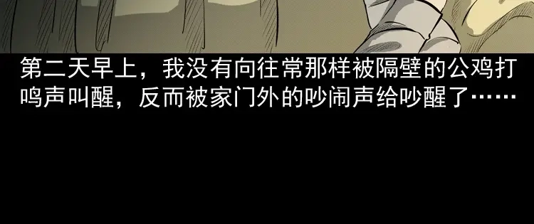 《三老爷诡事会》到底是人是诡 第101页