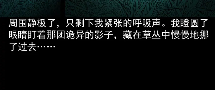 《三老爷诡事会》到底是人是诡 第39页