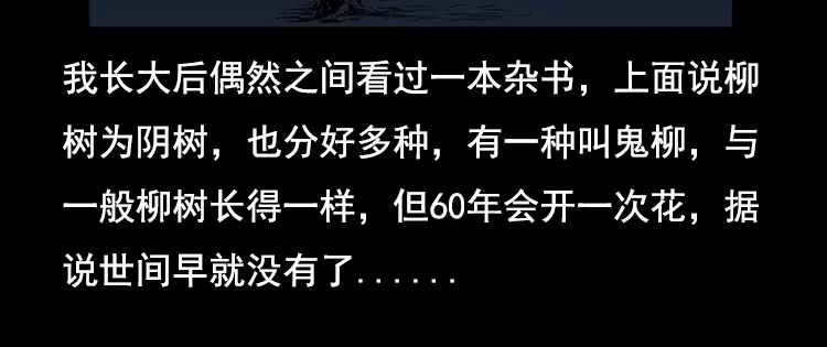 《三老爷诡事会》花柳树 第134页