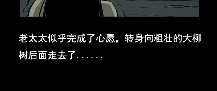 《三老爷诡事会》花柳树 第61页