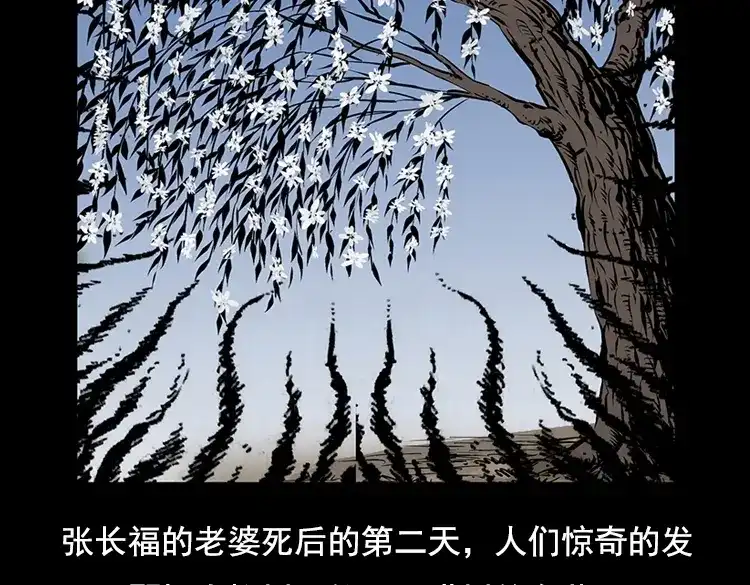 《三老爷诡事会》花柳树 第123页